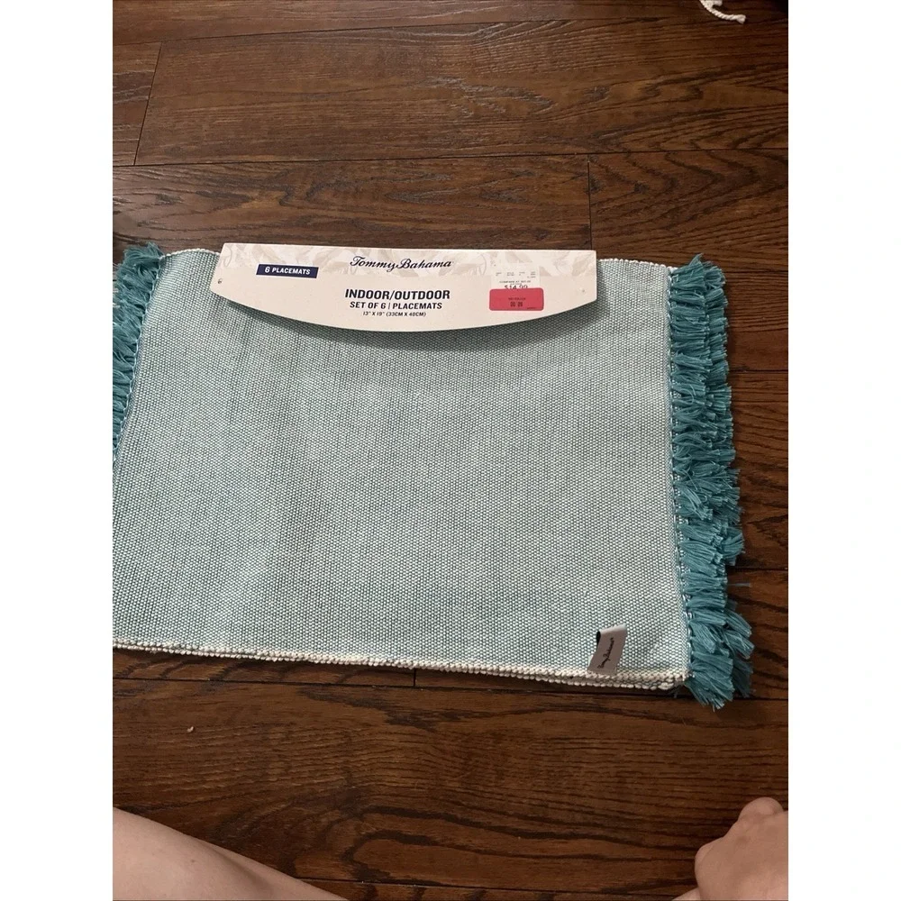 Set of 6 Teal/White Indoor/Outdoor Placemats 13x19 inches